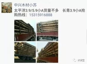 找原木,找板材,在這里,2017年11月19日,精品木材銷售信息,履約思源,不忘初心 財經 網