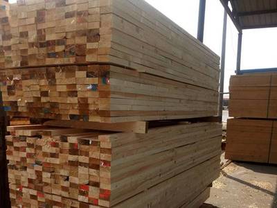 山東日照木材批發市場