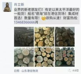 找原木,找板材,在這里,2017年4月15日 ,精品木材銷售信息,履約思源,不忘初心 