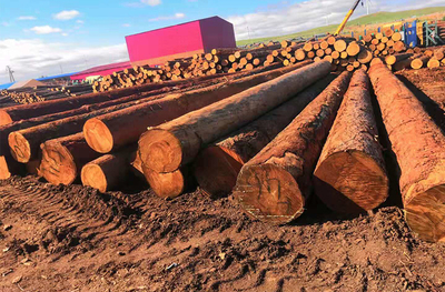 出售樹木時收獲的主要木材產品-您在木材銷售時可能擁有的林產品