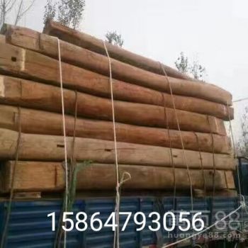 濟陽區大剛木材銷售中心