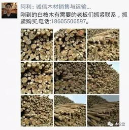 找原木,找板材,在這里,2017年4月4日 ,精品木材銷售信息,履約思源,不忘初心 