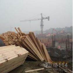 上海市香杉木批發 香杉木供應 香杉木廠家 