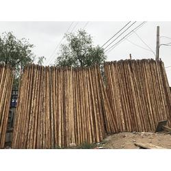 甘肅原木大板 有品質的原木直銷批發