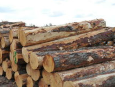 木材生意如何入手,從幾個方面進行分析,大家可以參考一下。