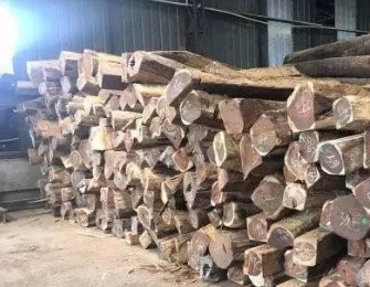 進入9月后 木材市場熱門材種放量明顯增加