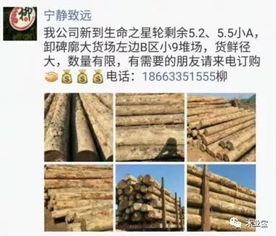 找原木,找板材,在這里,2017年11月 27日,精品木材銷售信息,履約思源,不忘初心