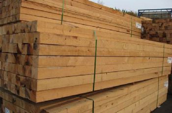 木材銷售商|邯鄲閩都木材廠棒棒噠|青島木材