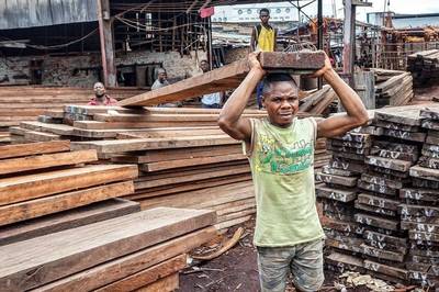 國際社會關注非洲大湖地區跨國木材貿易的管理