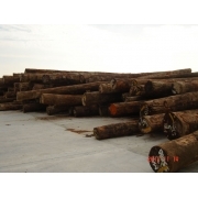 廈門嘉雄木材貿易公司簡介