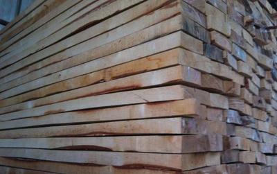 俄羅斯木材利潤豐厚，建材市場迎來進口熱潮