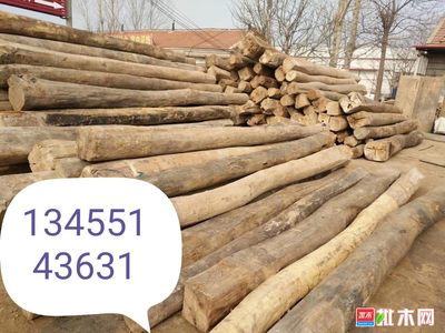 大量銷售批發一級精品老榆木 優質建筑材料的選擇