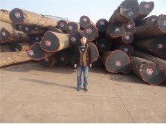 上海洪煌木業閔行區經營部 專業木材銷售，打造優質建筑材料